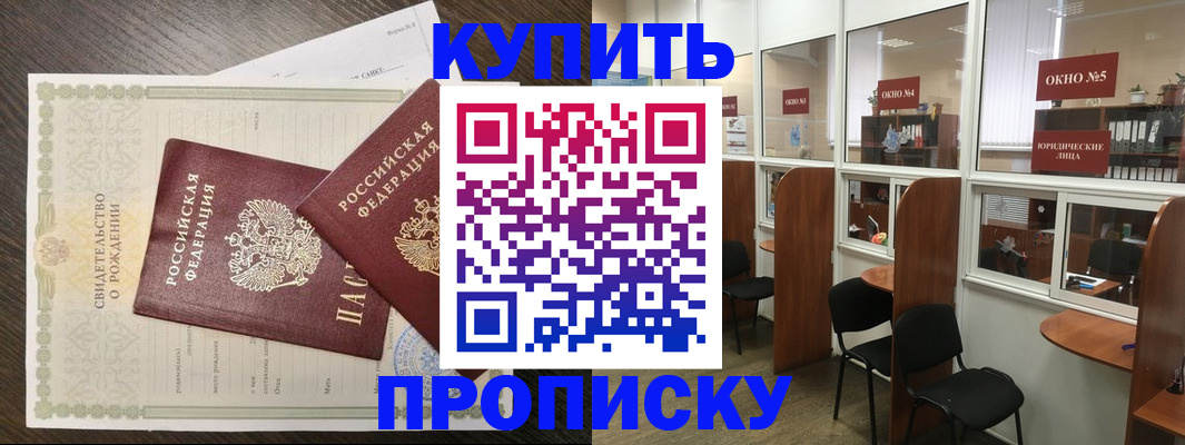 прописка законно в Волоколамске